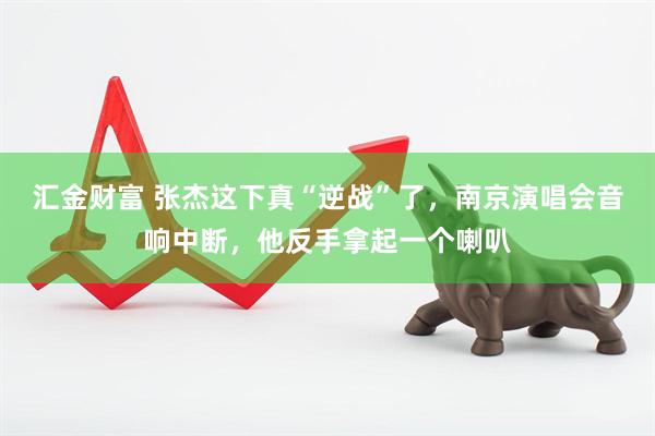 汇金财富 张杰这下真“逆战”了，南京演唱会音响中断，他反手拿起一个喇叭