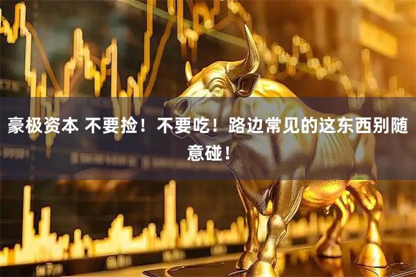 豪极资本 不要捡！不要吃！路边常见的这东西别随意碰！